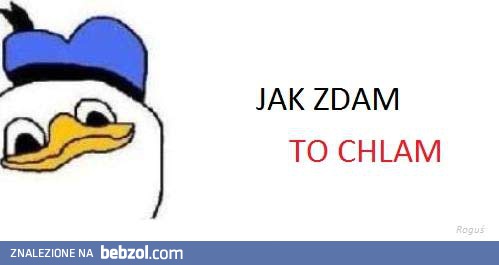 Jak zdam, to chlam!