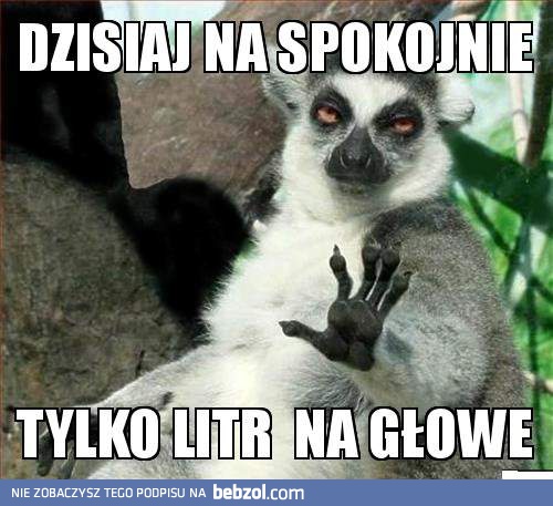 Dzisiaj spokojnie!