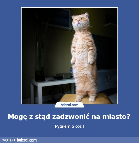 Mogę z stąd zadzwonić na miasto? 