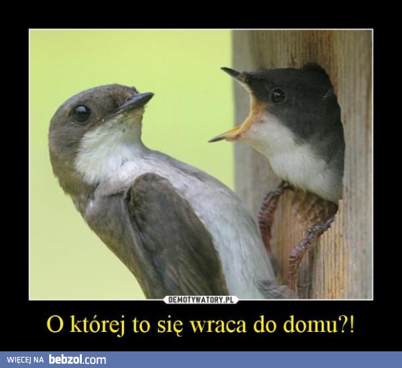 O której to się wraca do domu?