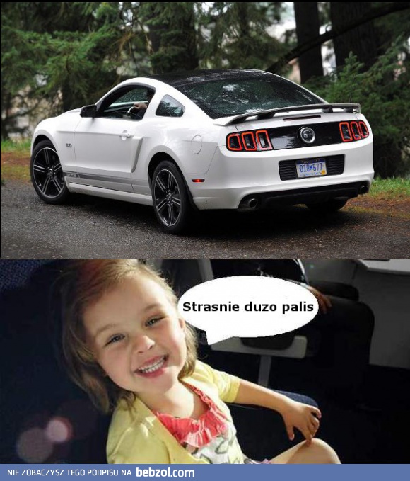 Jedyny minus Mustanga