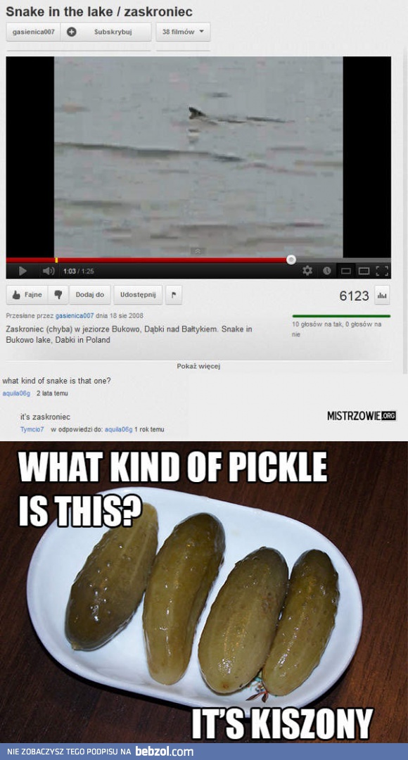 Polacy mistrzami angielskiego