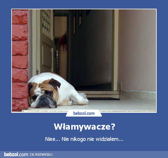 Włamywacze?