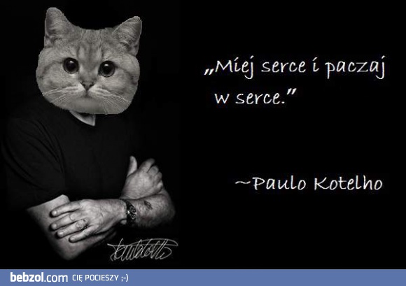 Miej serce i paczaj w serce