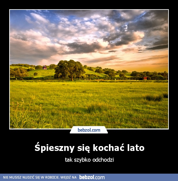 Śpieszny się kochać lato