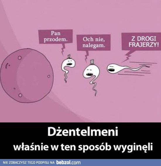 Dżentelmeni, tak wyginęli