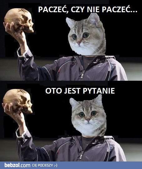 Paczeć, czy nie paczeć oto jest pytanie