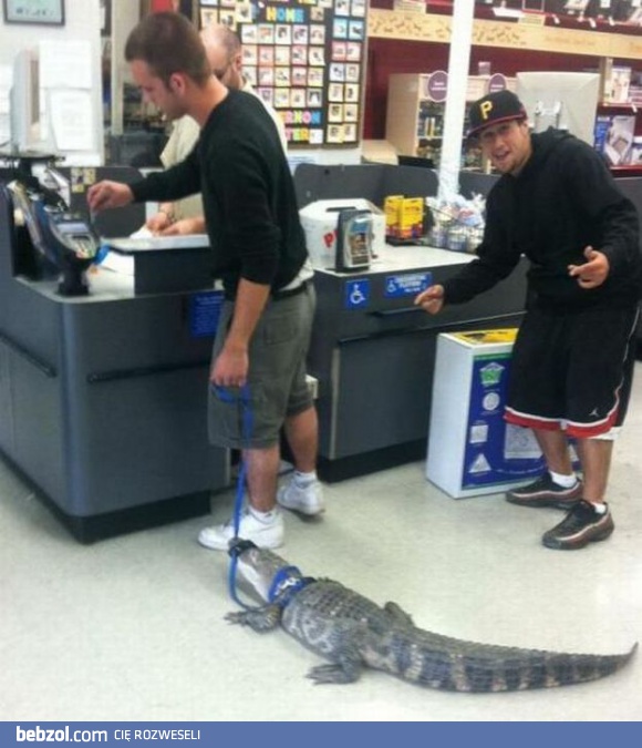 Dobrze, że ma kaganiec!