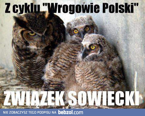 Wrogowie Polski