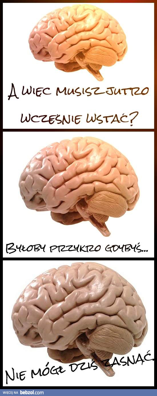 Niegrzeczny mózg