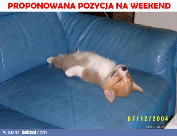 Propozycja na weekend