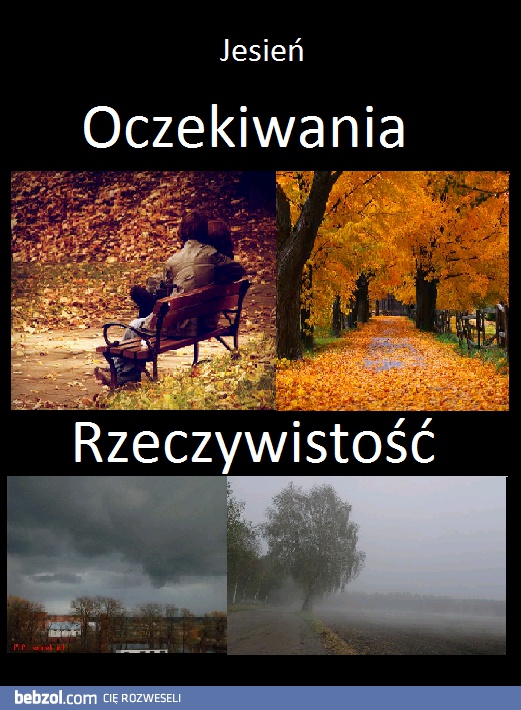 Złota jesień