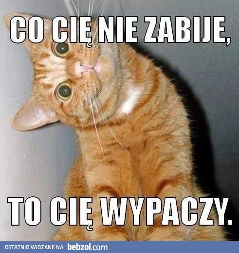 Co cię nie zabije...