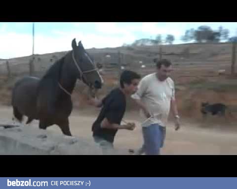 horse fail- grubasek chcial dosiasc konia:d