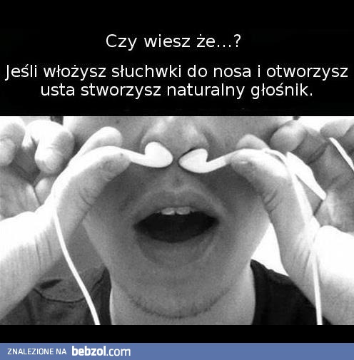 Stwórz naturalny głośnik!