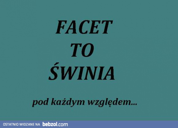 Facet to świnia