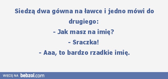 Siedzą dwa gówna na ławce