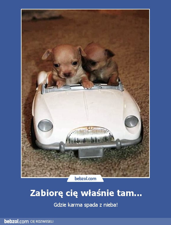 Zabiorę cię właśnie tam...