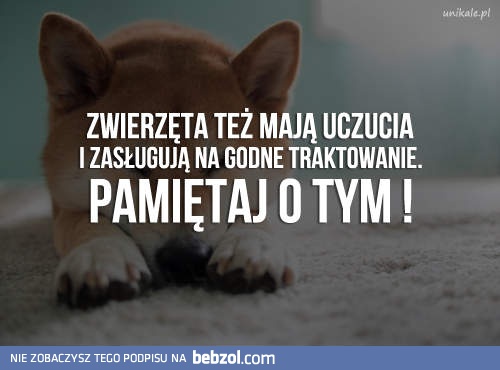 Zwierzęta też mają uczucia!