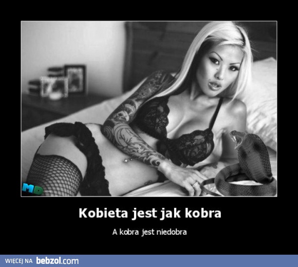 Kobieta jest jak kobra
