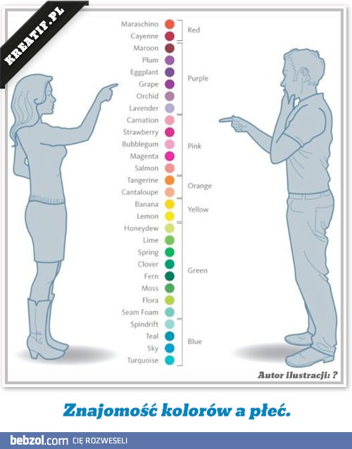 Płeć a znajomość kolorów