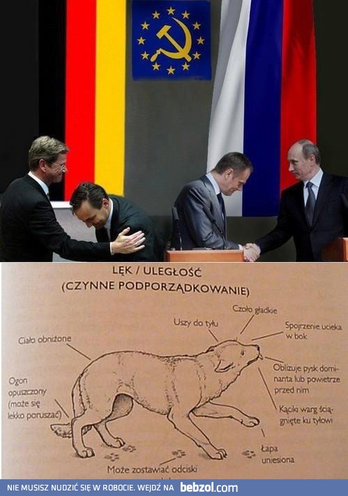 Lęk/uległość (czynne podporządkowanie)