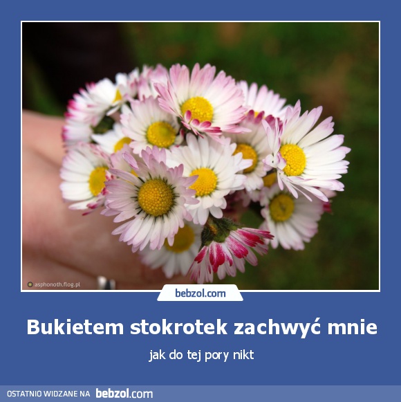 Bukietem stokrotek zachwyć mnie
