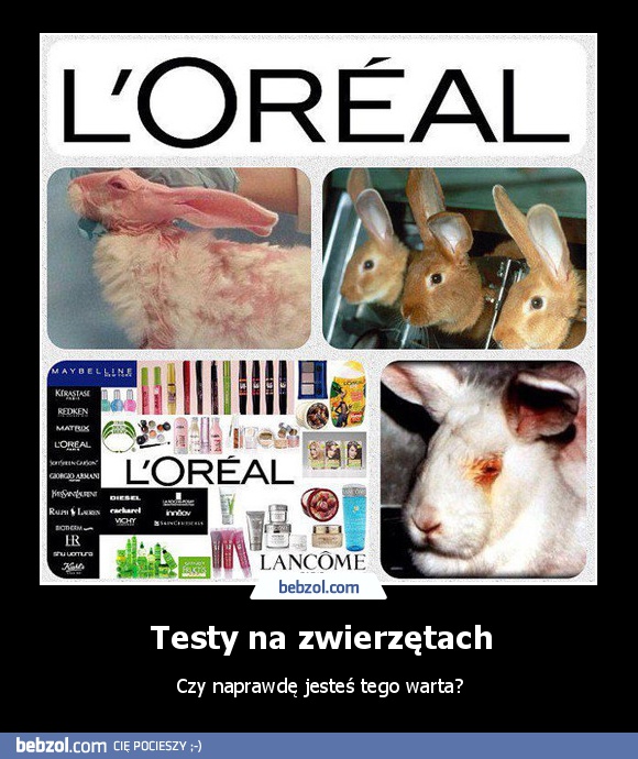 Testy na zwierzętach