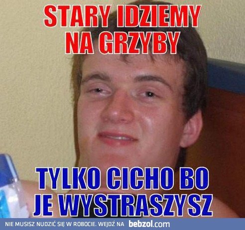 Stary, idziemy na grzyby