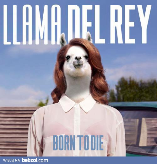 Llama Del Rey