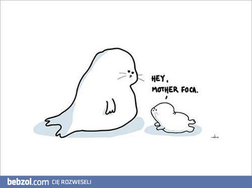 Hey, mother foca