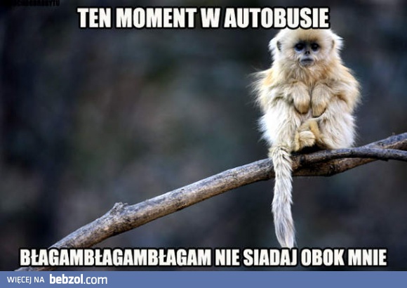 Ten moment w autobusie