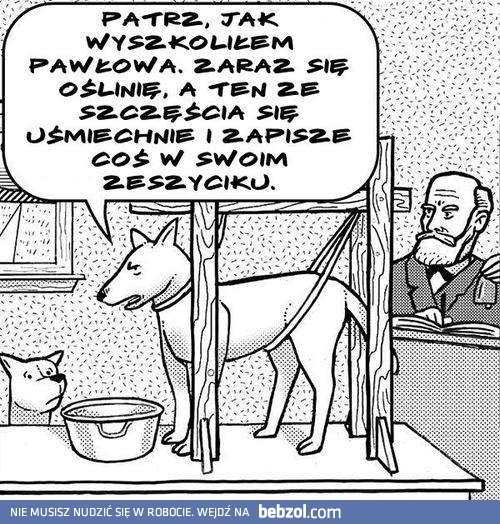 Odruch Pawłowa