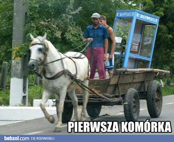 Pierwsza komórka