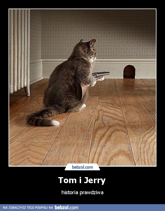 Tom i Jerry 