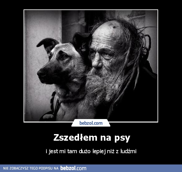 Zszedłem na psy