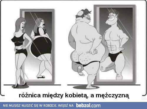 Różnica między kobietą, a mężczyzną