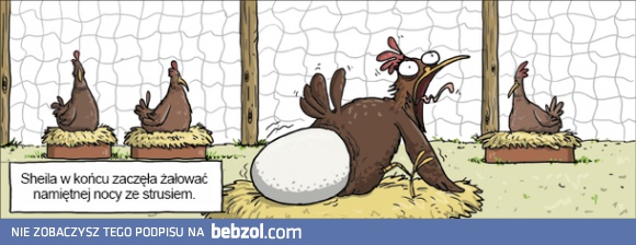 Namiętna noc ze strusiem