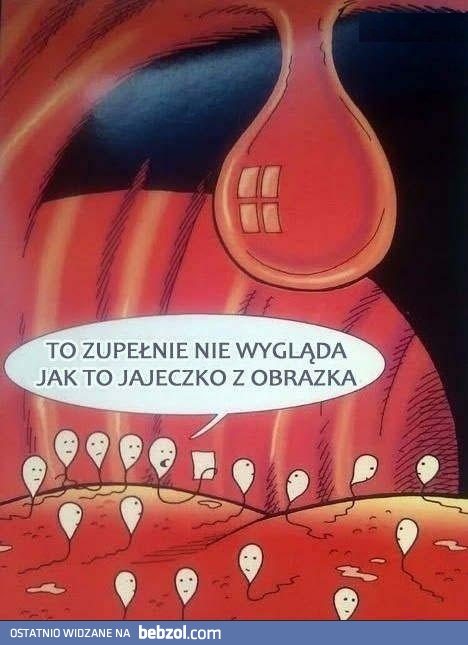 To zupełnie nie wygląda jak to jajeczko z obrazka