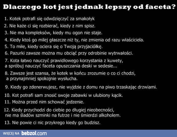 Dlaczego kot jest lepszy od faceta