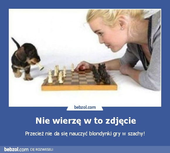 Nie wierzę w to zdjęcie