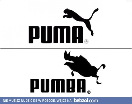 Puma vs Pumba