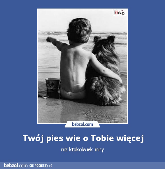 Twój pies wie o Tobie więcej