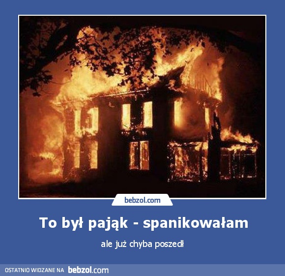 To był pająk - spanikowałam