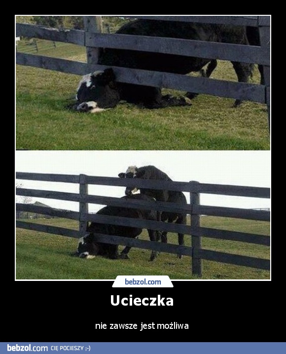 Ucieczka 