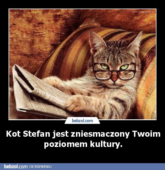 Kot Stefan jest zniesmaczony Twoim poziomem kultury.