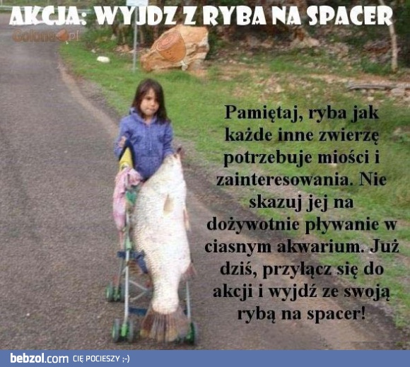 Wyjdź z rybą na spacer