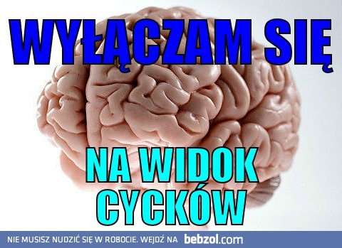 Męski mózg