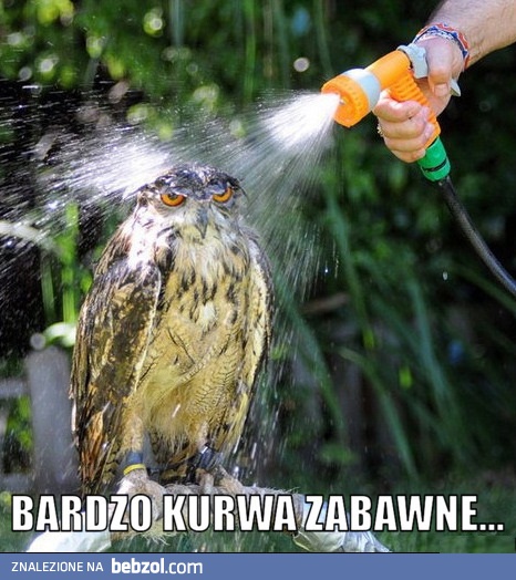 Bardzo zabawne...