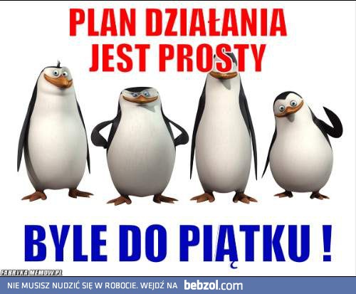 Plan działania jest prosty!